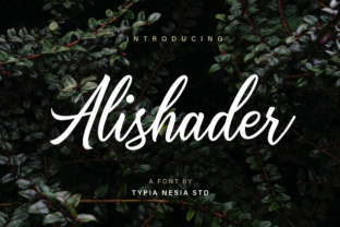 Alishader: The Script Handwritten Font That Elevates Your Digital Brand