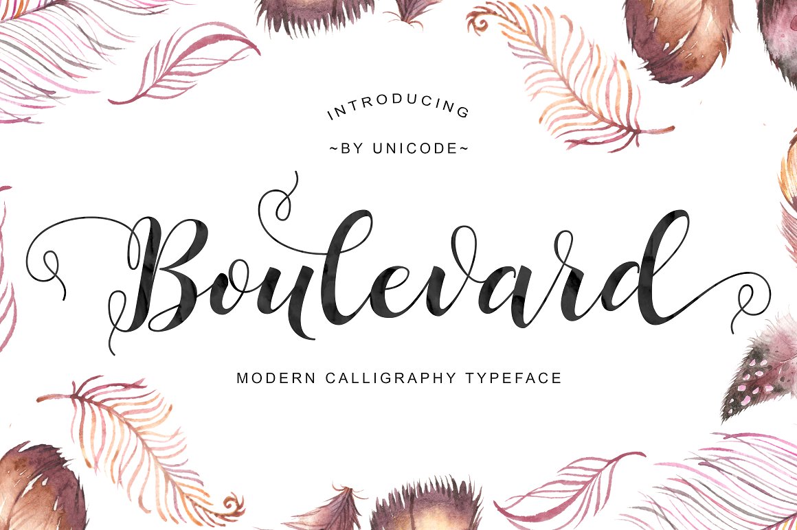 Boulevard Script for Creative Branding and Professional Design