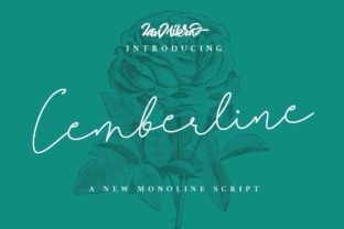 Cemberline: The Font That Elevates Your Brand’s Visual Story