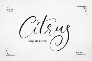 Citrus: A Script Font That Elevates Digital Branding