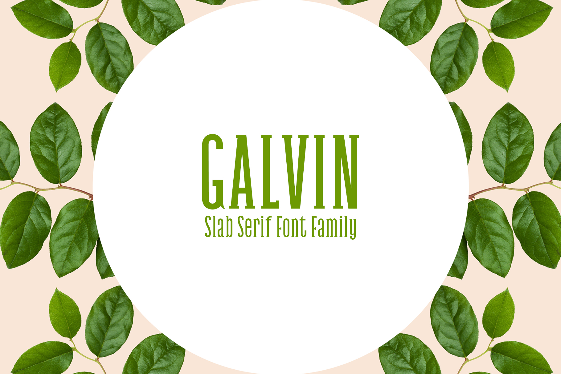 Galvin Family Pack: The Font That Elevates Every Campaign