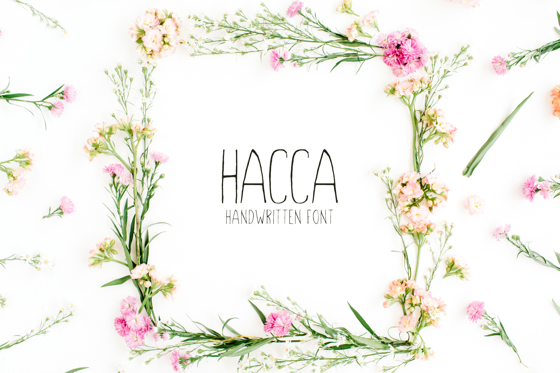 Hacca: A Versatile Sans Serif Font for Creative Product Design